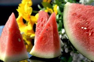 为啥吃瓜蘸盐,为何吃瓜蘸盐，传统饮食习惯背后的科学奥秘