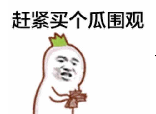 恐龙家族吃瓜表情包,表情包带你穿越史前时代